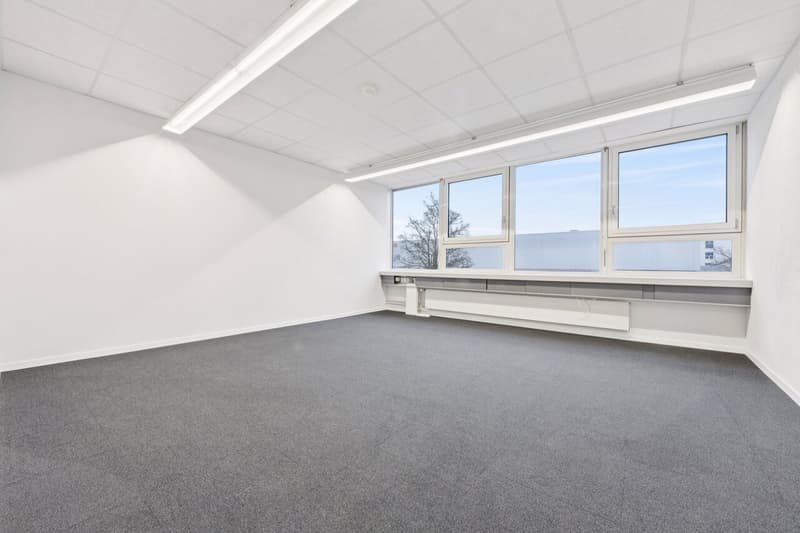 Gewerbefläche oder Atelier mit Büro- und Produktionsteil (4)
