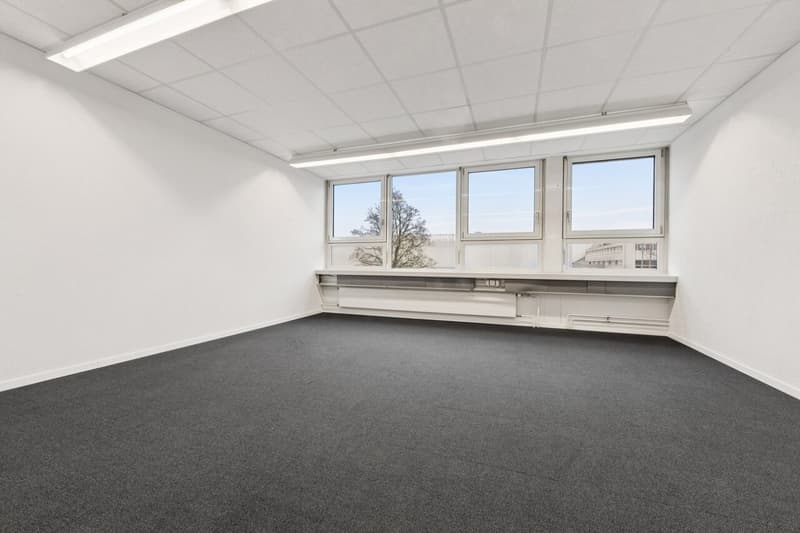 Gewerbefläche oder Atelier mit Büro- und Produktionsteil (10)