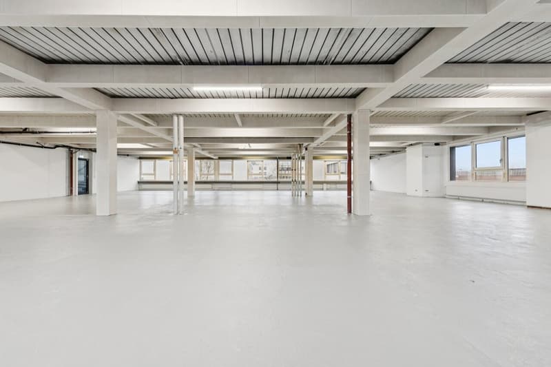 Gewerbefläche oder Atelier mit Büro- und Produktionsteil (6)