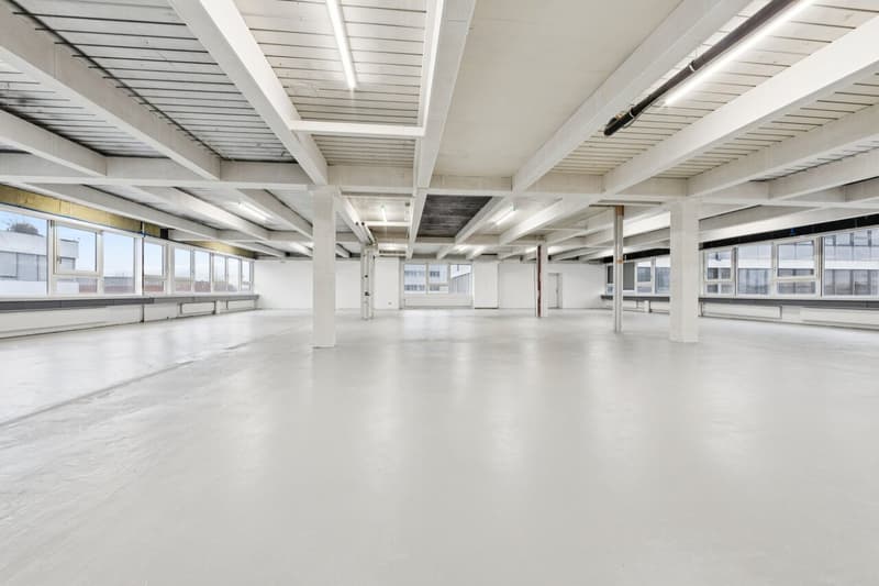 Gewerbefläche oder Atelier mit Büro- und Produktionsteil (7)