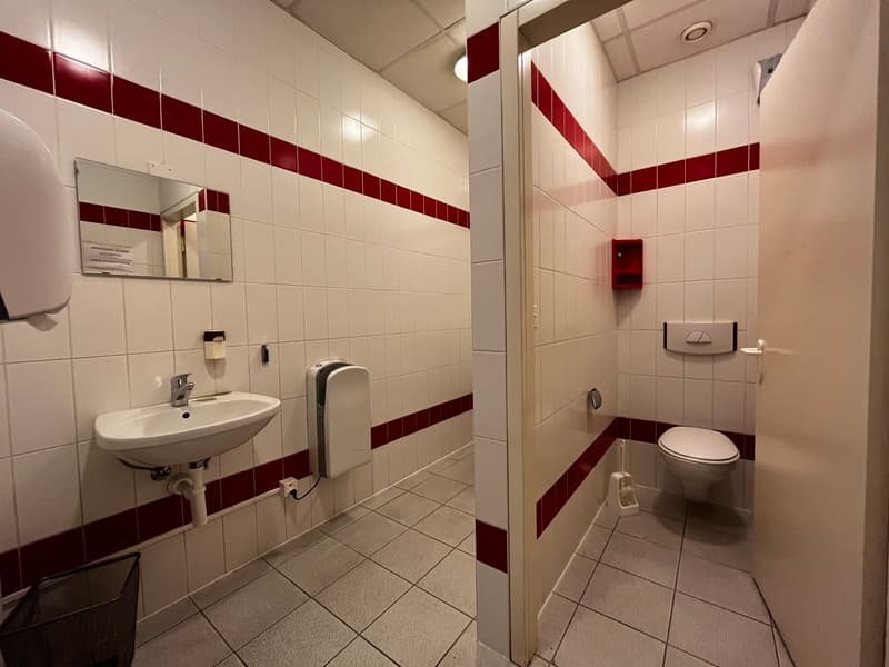 Fläche von 555m2 - Showroom - Büros oder Räume (6)
