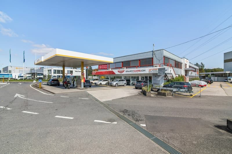 Fläche von 555m2 - Showroom - Büros oder Räume (2)