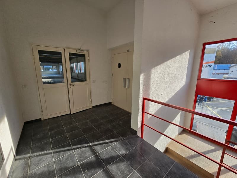 Fläche von 555m2 - Showroom - Büros oder Räume (5)