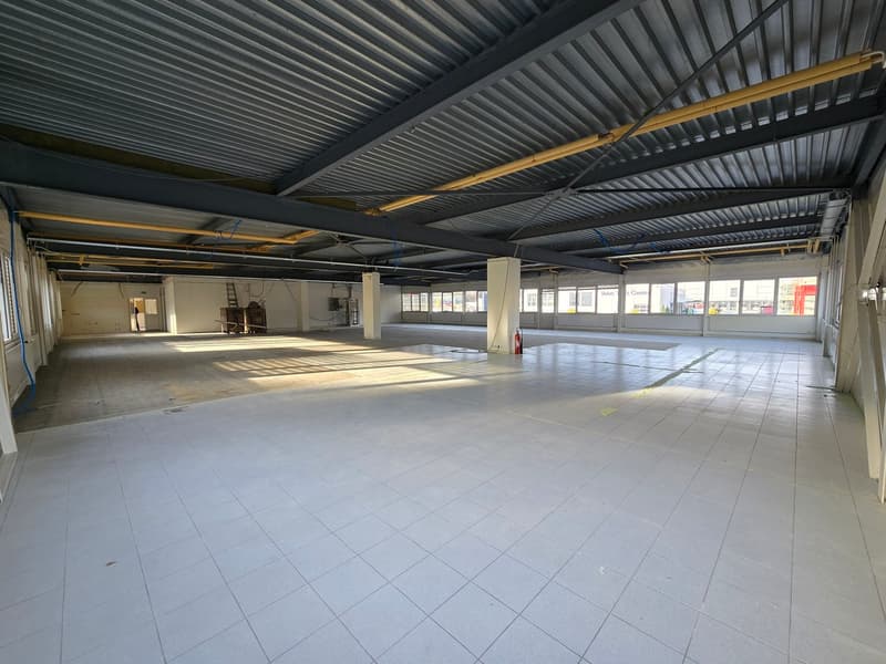 Fläche von 555m2 - Showroom - Büros oder Räume (4)
