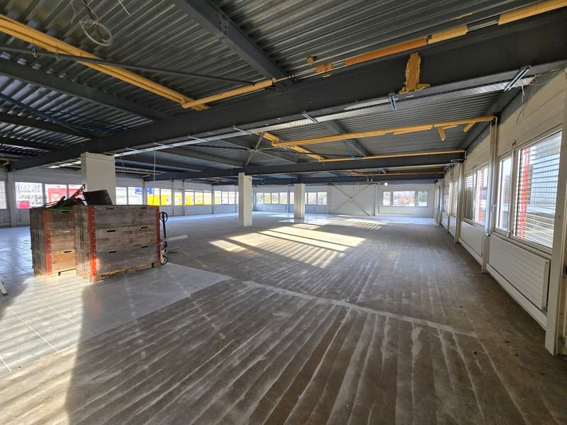 Fläche von 555m2 - Showroom - Büros oder Räume (3)