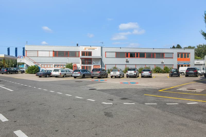 Fläche von 555m2 - Showroom - Büros oder Räume (1)