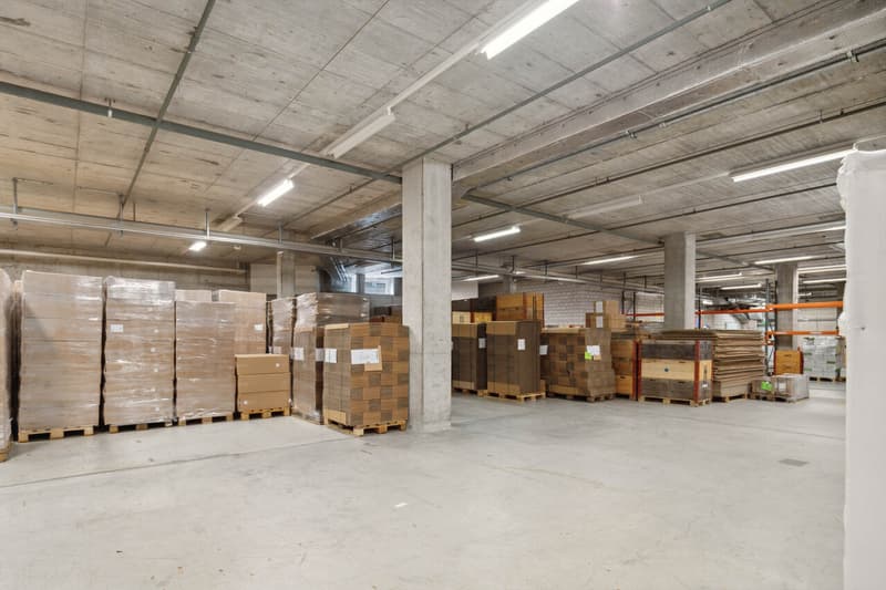 Mammut Areal Seon - Gewerbefläche für Industrie, Logistik & Büro (9)