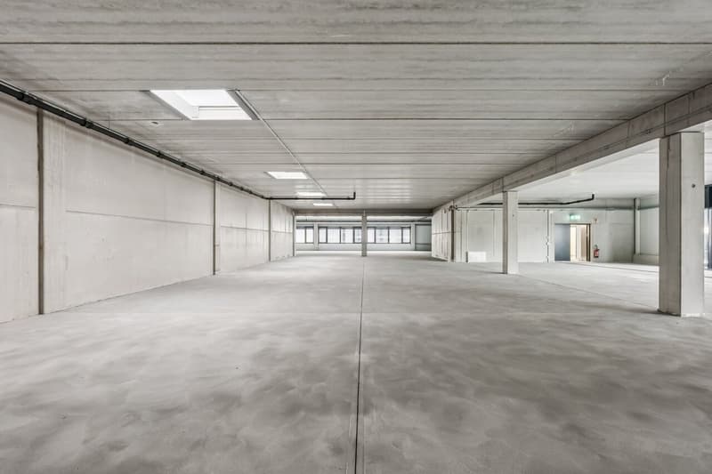 Ideal angebunden & flexibler Ausbau möglich (8)