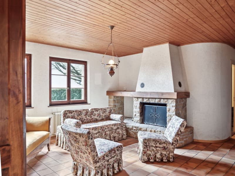 Spacious property in Champagne with house, guest house and garden (10)