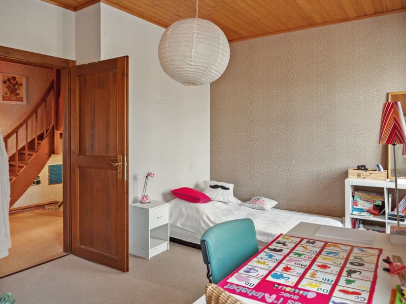 Spacious property in Champagne with house, guest house and garden (4)