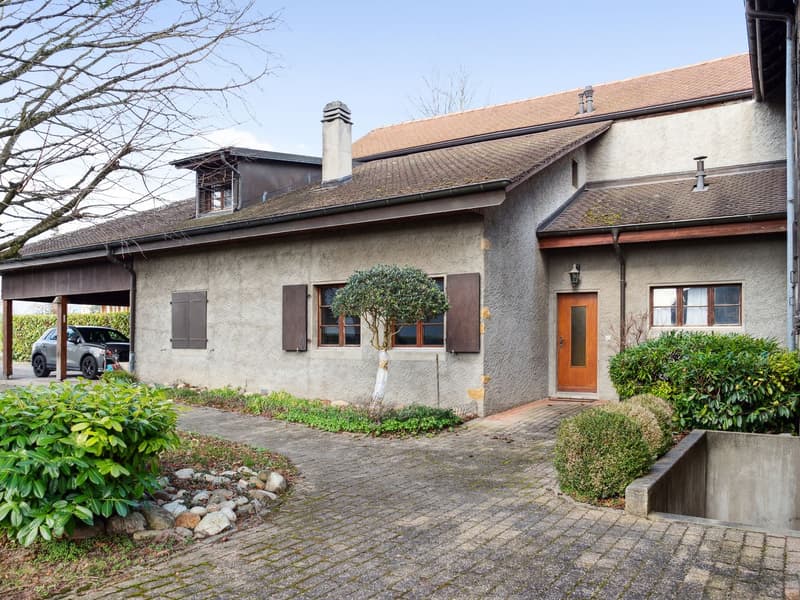 Spacious property in Champagne with house, guest house and garden (9)