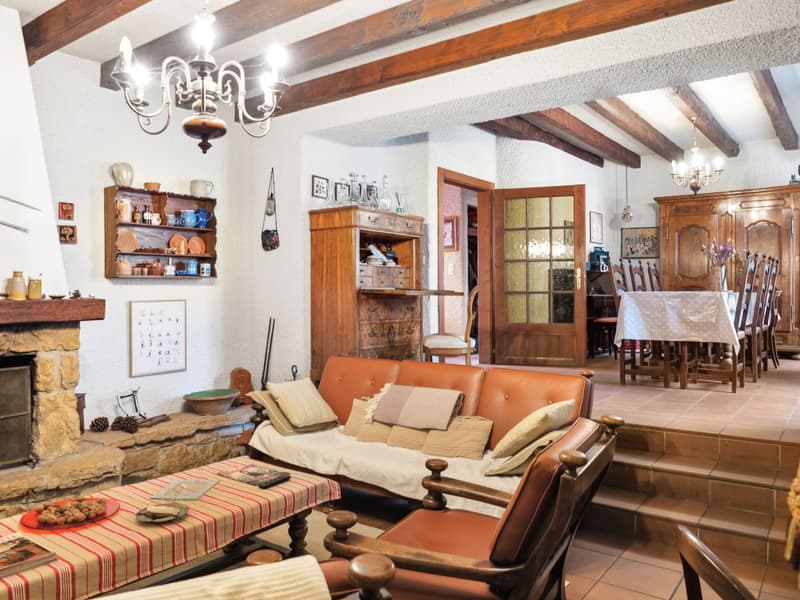 Spacious property in Champagne with house, guest house and garden (3)