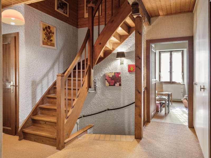 Spacious property in Champagne with house, guest house and garden (7)