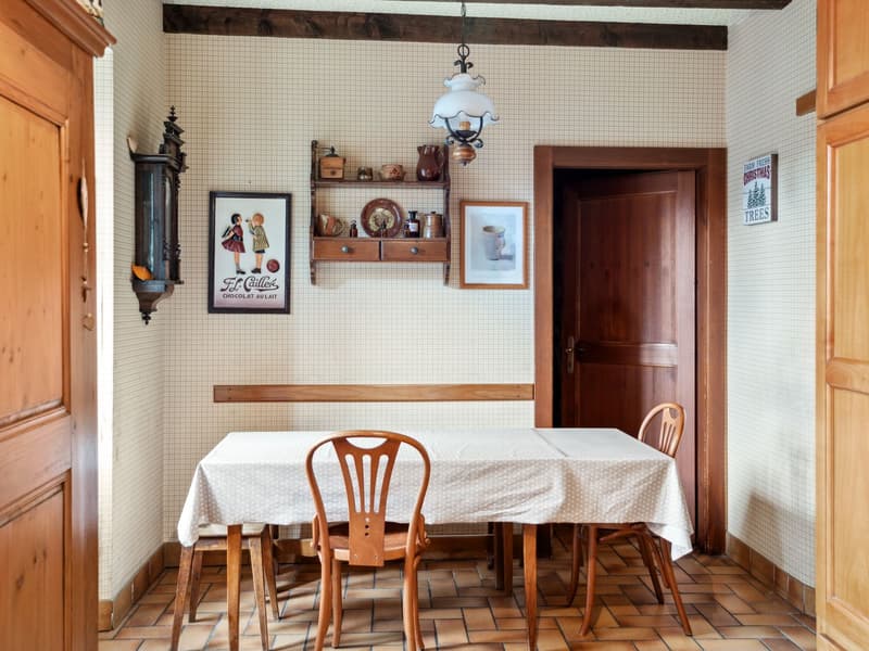 Spacious property in Champagne with house, guest house and garden (2)