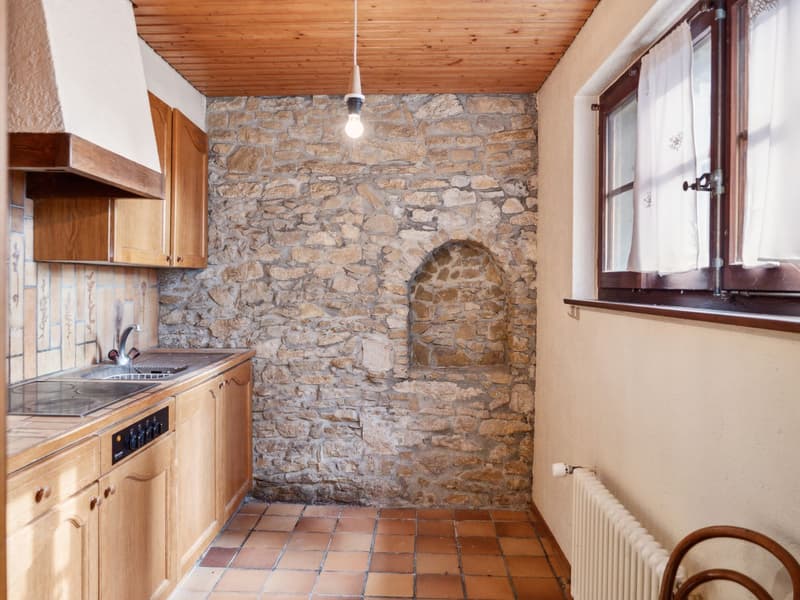Spacious property in Champagne with house, guest house and garden (11)