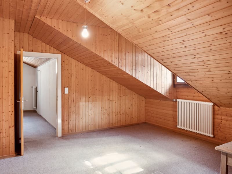 Spacious property in Champagne with house, guest house and garden (12)