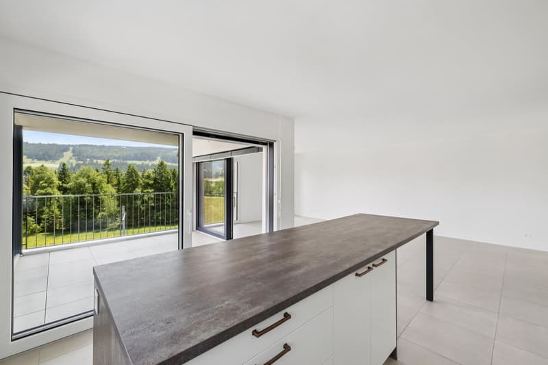 Call for tenders 3.5 rooms bright - MINERGIE (3)
