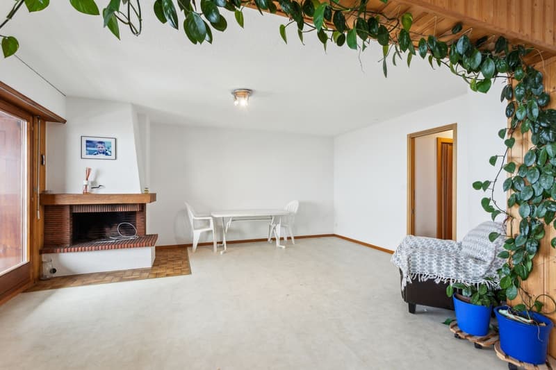 Grand appartement lumineux 115 m² avec magnifique vue sur le Mont-Blan (4)