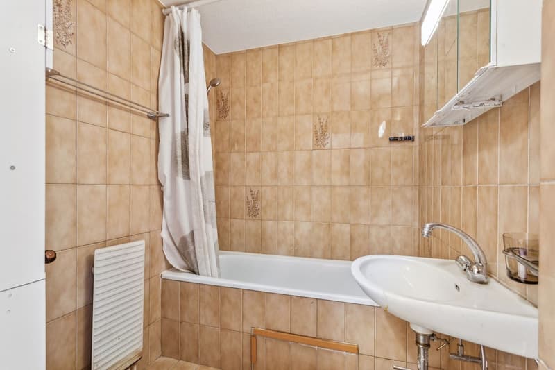 Grand appartement lumineux 115 m² avec magnifique vue sur le Mont-Blan (11)