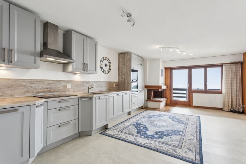 Grand appartement lumineux 115 m² avec magnifique vue sur le Mont-Blan (2)