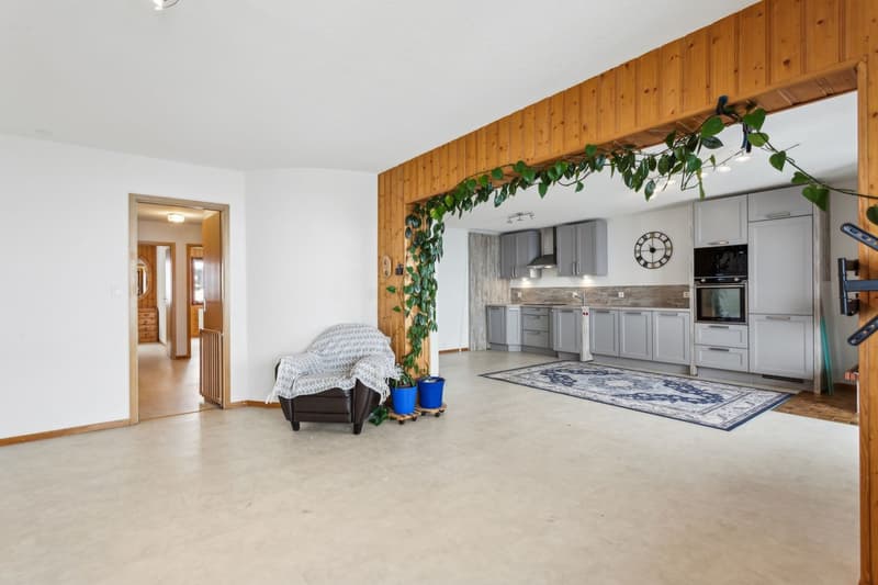Grand appartement lumineux 115 m² avec magnifique vue sur le Mont-Blan (5)
