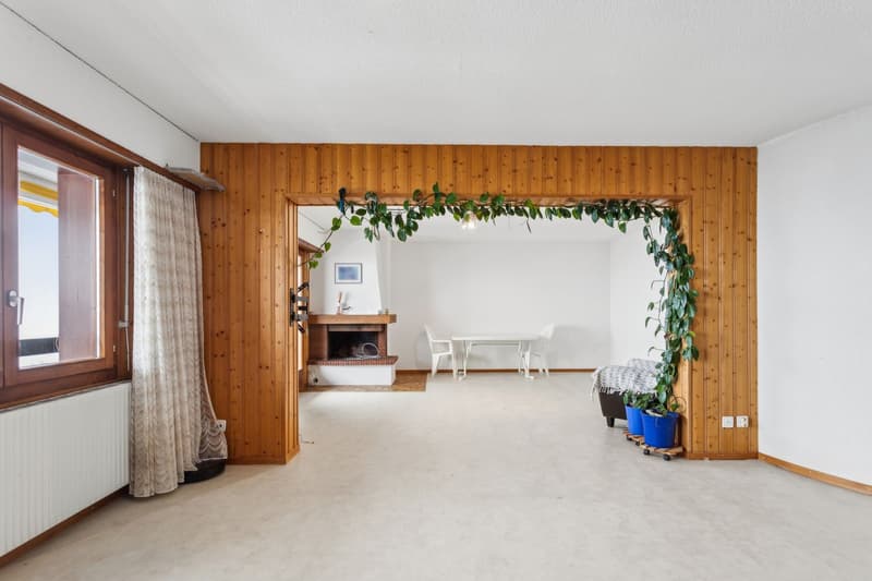 Grand appartement lumineux 115 m² avec magnifique vue sur le Mont-Blan (6)