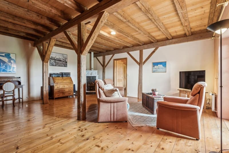 Propriété au charme authentique, finitions soignées et grand jardin (9)