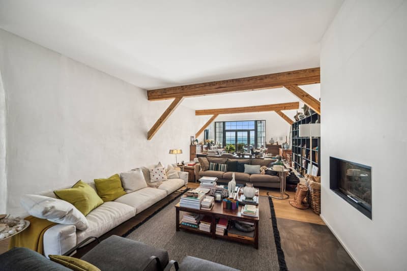 Exceptional property with two apartments and panoramic views! (2)