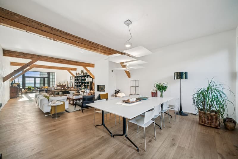 Exceptional property with two apartments and panoramic views! (3)
