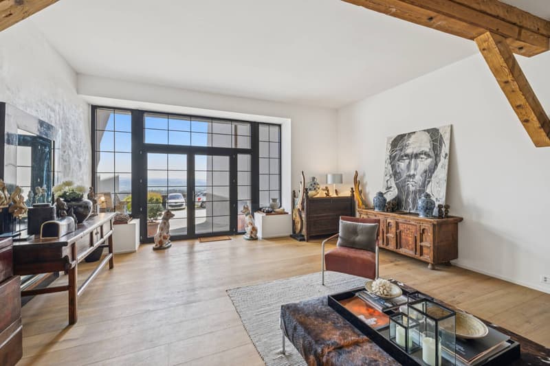 Exceptional property with two apartments and panoramic views! (1)