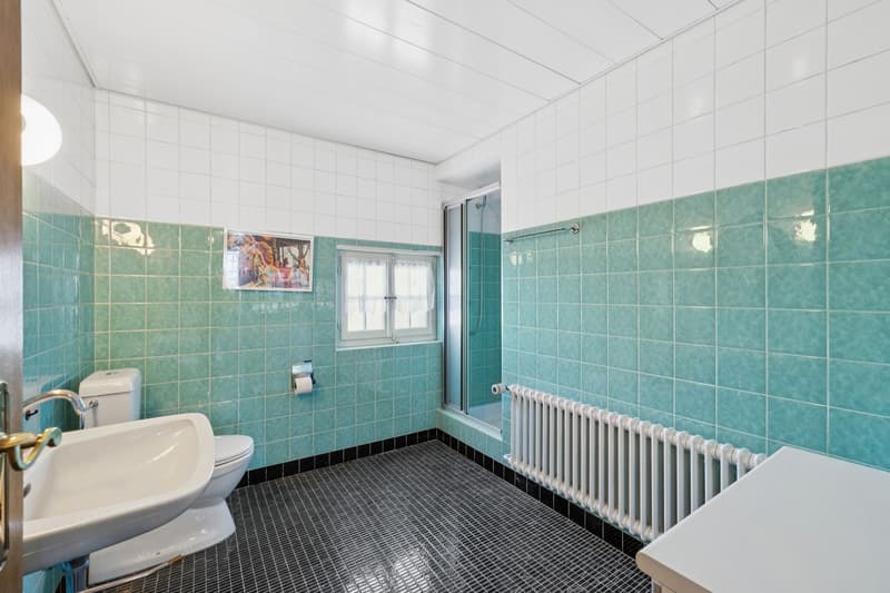 Beautiful individual property with 9.5 rooms! (9)