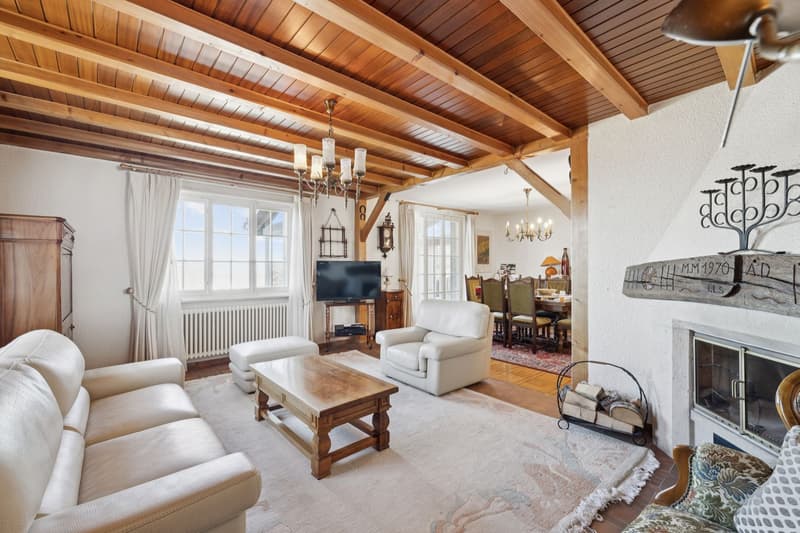 Beautiful individual property with 9.5 rooms! (4)