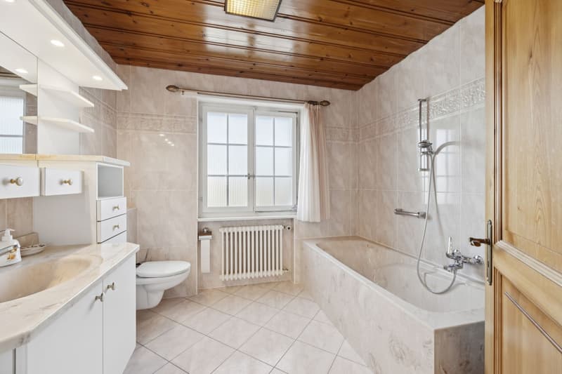 Beautiful individual property with 9.5 rooms! (8)