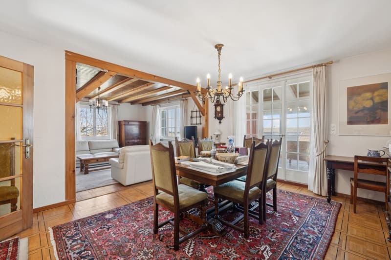 Beautiful individual property with 9.5 rooms! (3)
