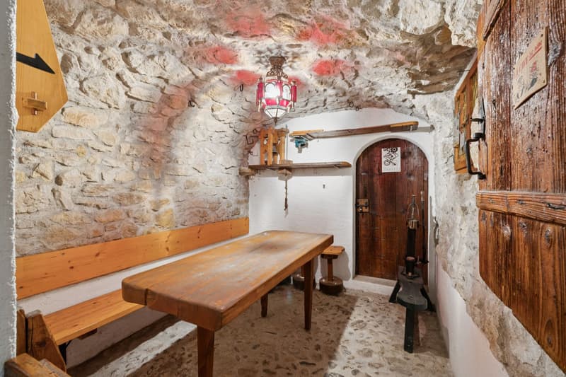Beautiful individual property with 9.5 rooms! (10)