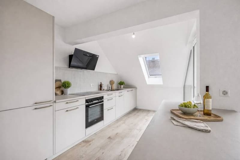 Charming new 4.5-room apartment with balcony (3)