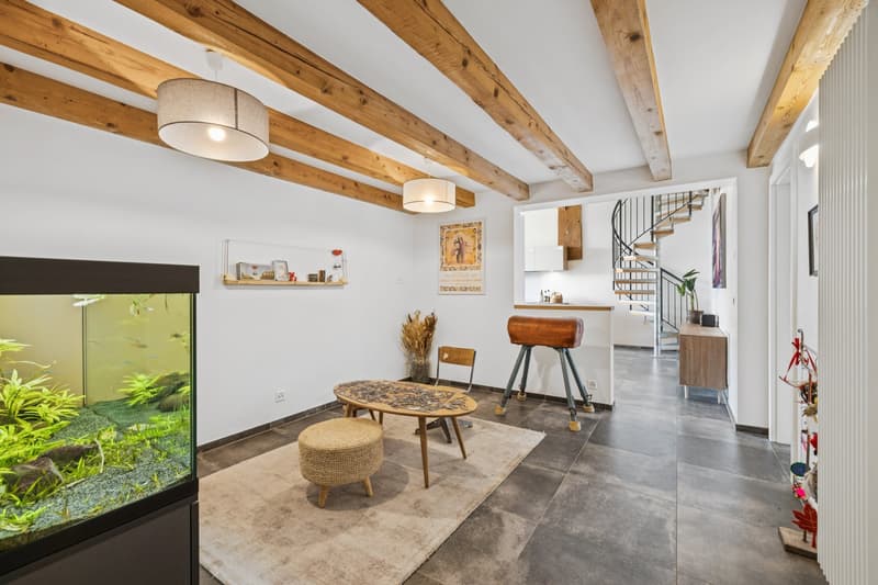Very charming village house with potential! (5)