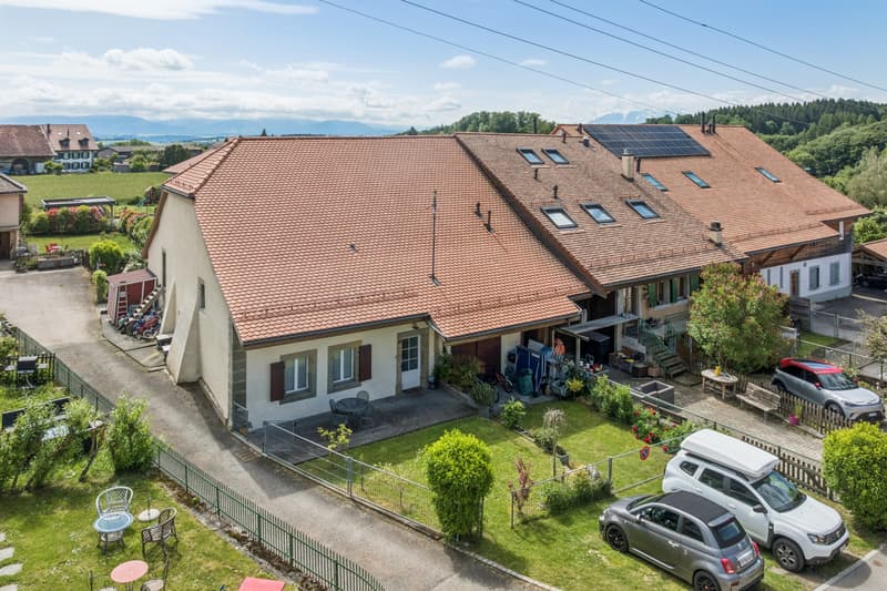 Very charming village house with potential! (1)