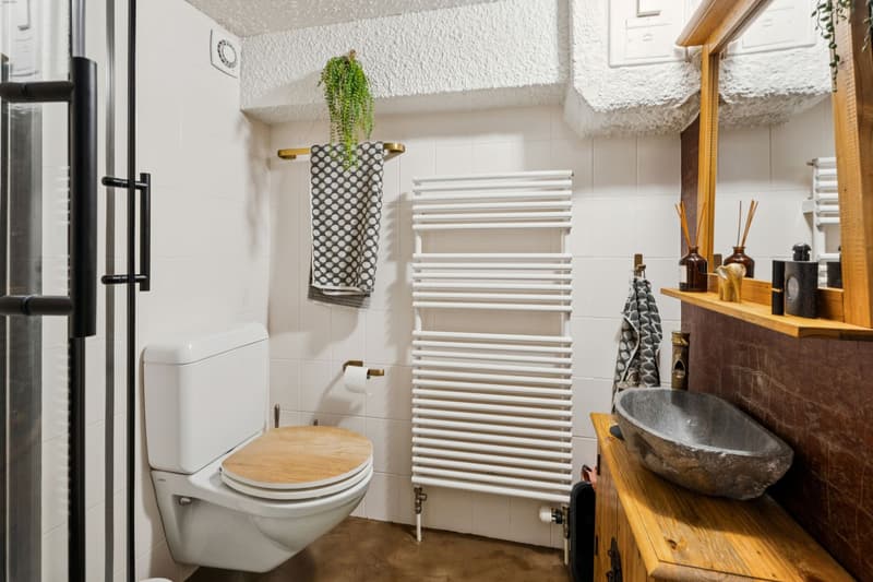 Village house with character located facing Lake Neuchâtel! (8)