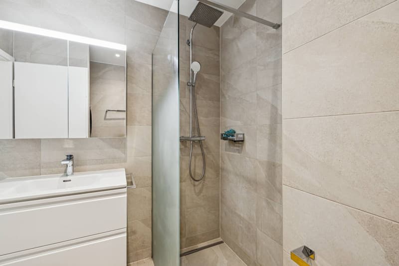 Magnifico 4.5 locali con ampia terrazza e giardino privato a Ecublen (9)