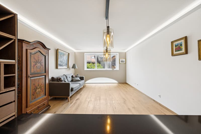 Modern comfort and tranquility two steps from Lausanne (2)