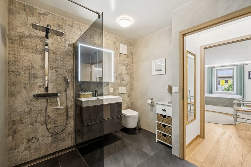 Modern comfort and tranquility two steps from Lausanne (5)