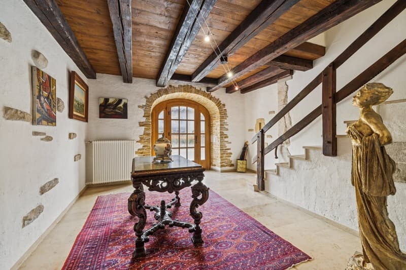 Casa villaggiosa molto affascinante, nel centro di Champagne! (1)