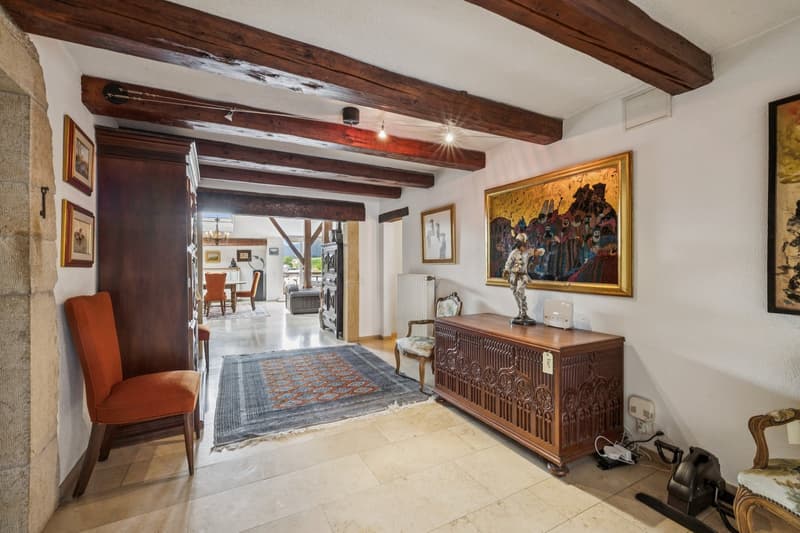 Casa villaggiosa molto affascinante, nel centro di Champagne! (8)