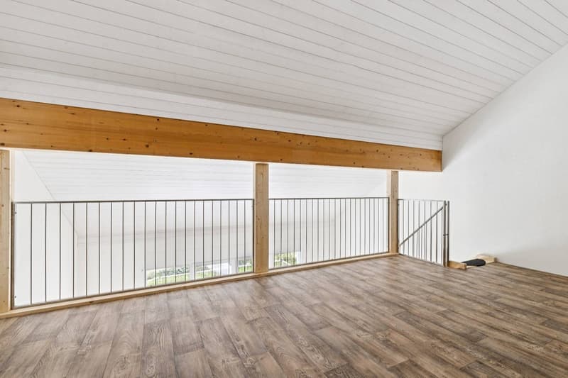 Bel appartement de 4.5 pièces + Mezzanine (12)
