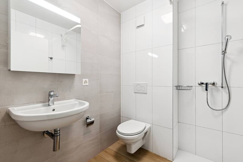 Bel appartement de 4.5 pièces + Mezzanine (11)