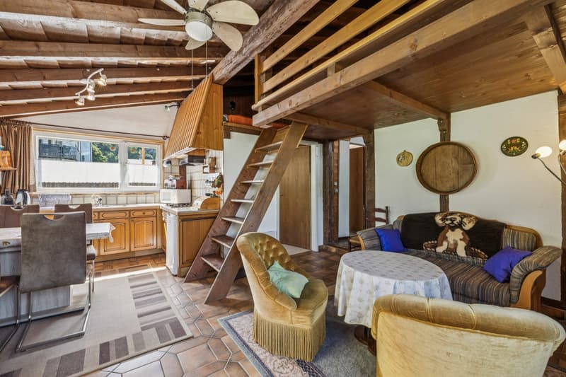Immeuble avec potentiel promotionnel - vue imprenable sur le lac de Jo (9)