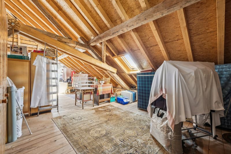 Immeuble avec potentiel promotionnel - vue imprenable sur le lac de Jo (12)