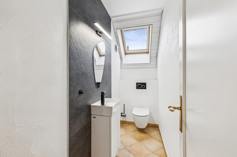 Duplex of 5.5 rooms with large independent space (5)