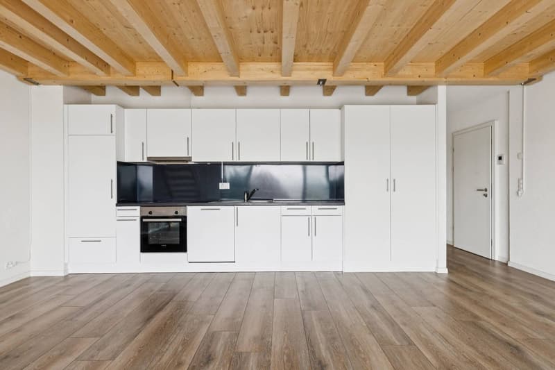 Bel appartement de 4.5 pièces + Mezzanine (7)